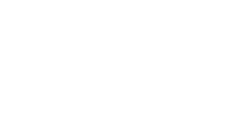 SMIC Logo
