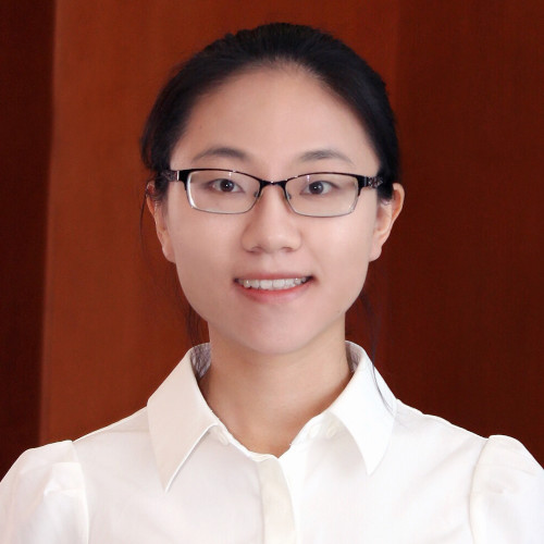 Dr. Tingting Weng