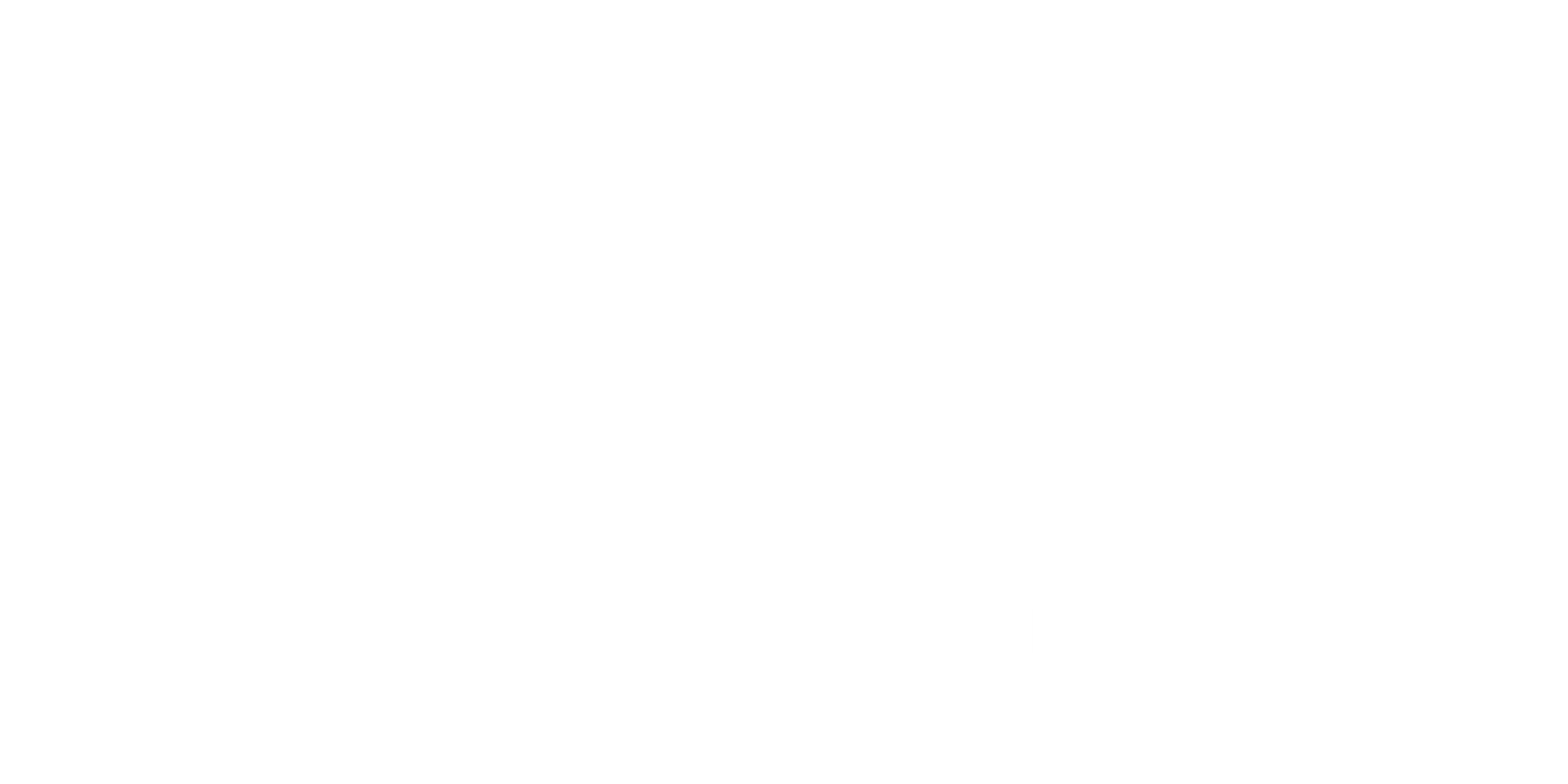 Cognichip