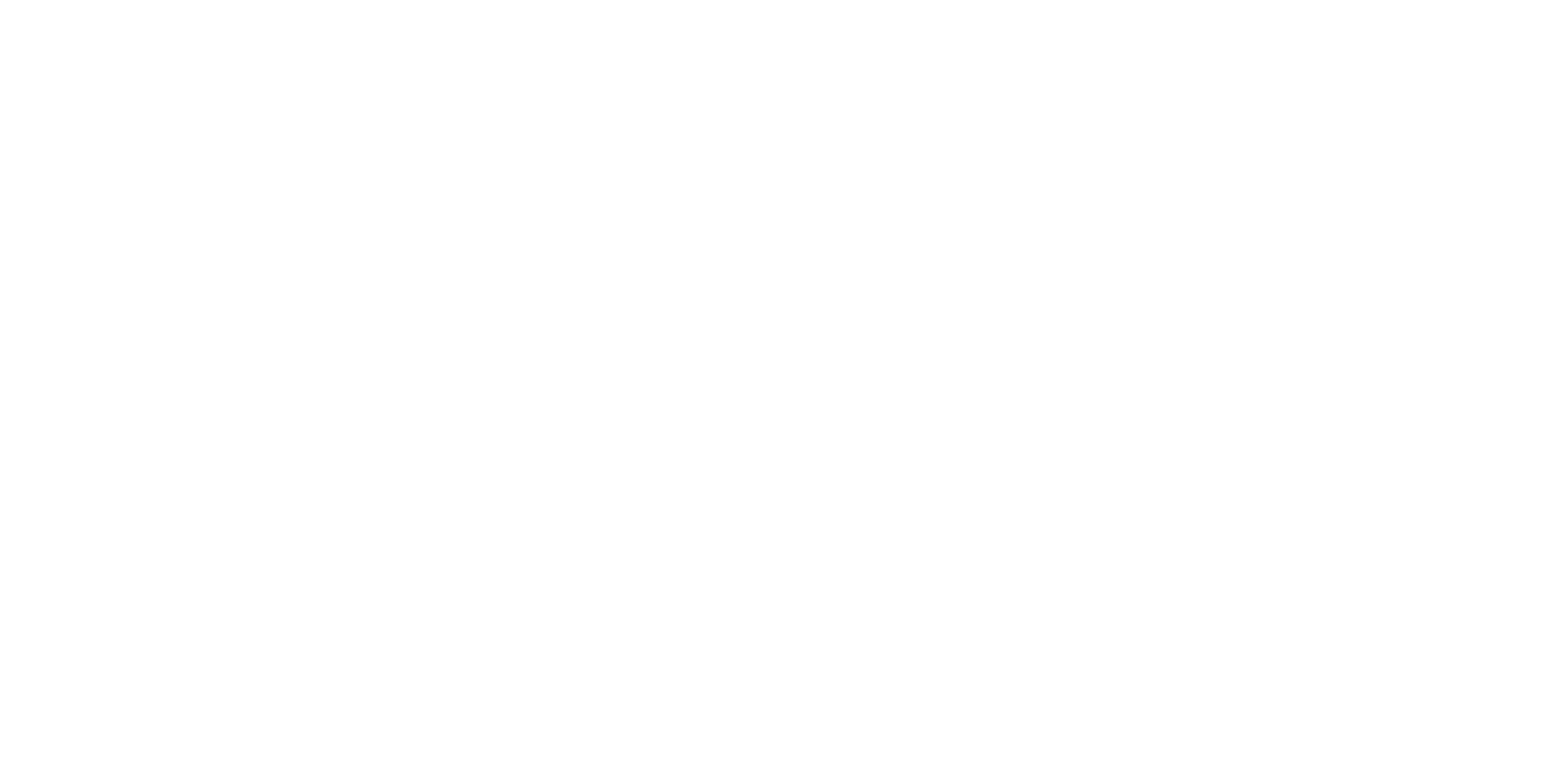 SanDisk